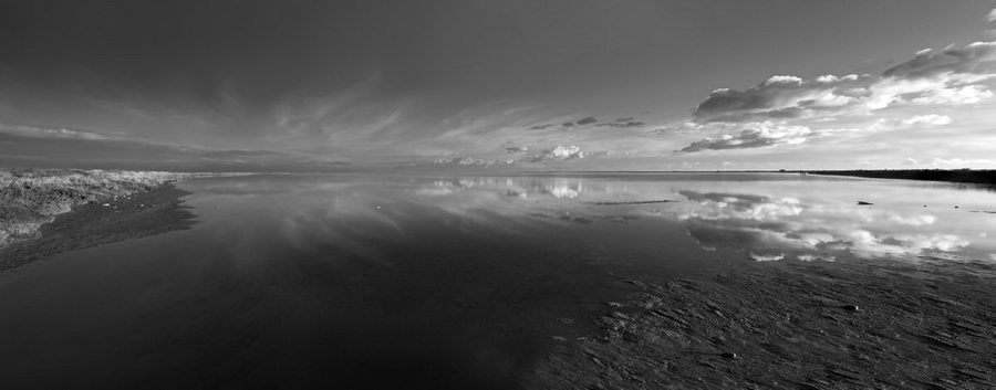 paysage de Camargue