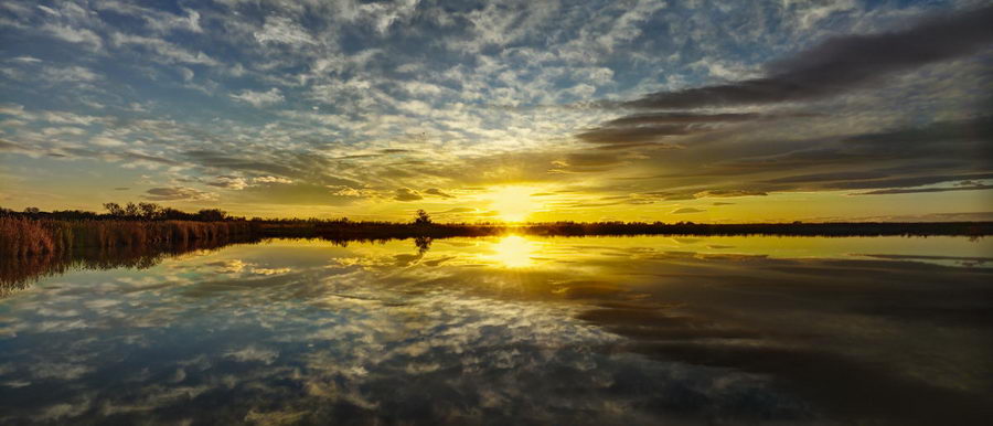 Etang de Camargue