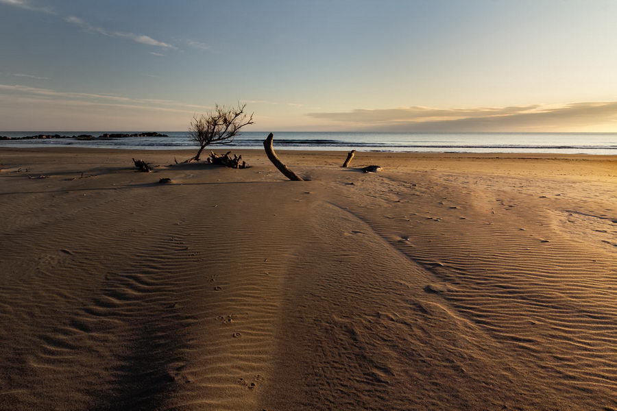 Plage de sable de Camargue