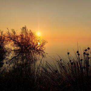 bon cadeau stage photo paysages camargue