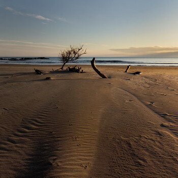 stage photo paysages de Camargue