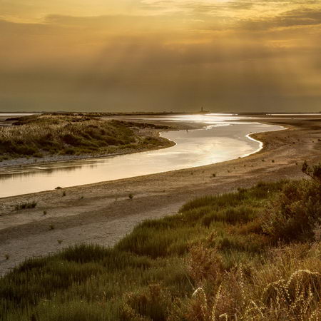 stage photo paysages de Camargue
