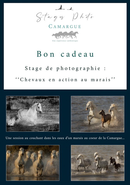 Bon cadeau chevaux en action aux marais