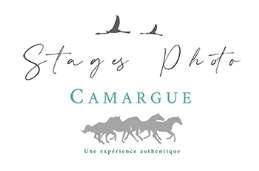 logo stages photo camargue