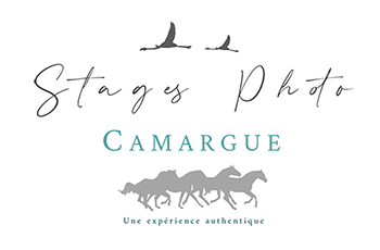 logo stages photo camargue