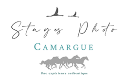 logo stages photo camargue