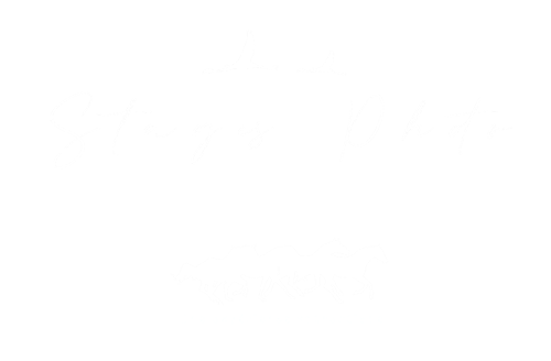 logo stages photo camargue