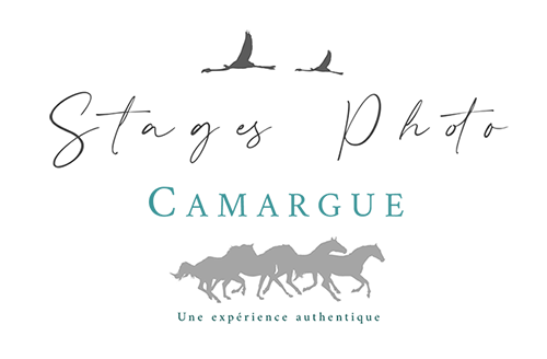 logo stages photo camargue