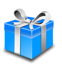 cadeau stage photo camargue cadeau stage photo camargue