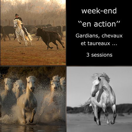stage photo week-end en action stage photo week-end en action